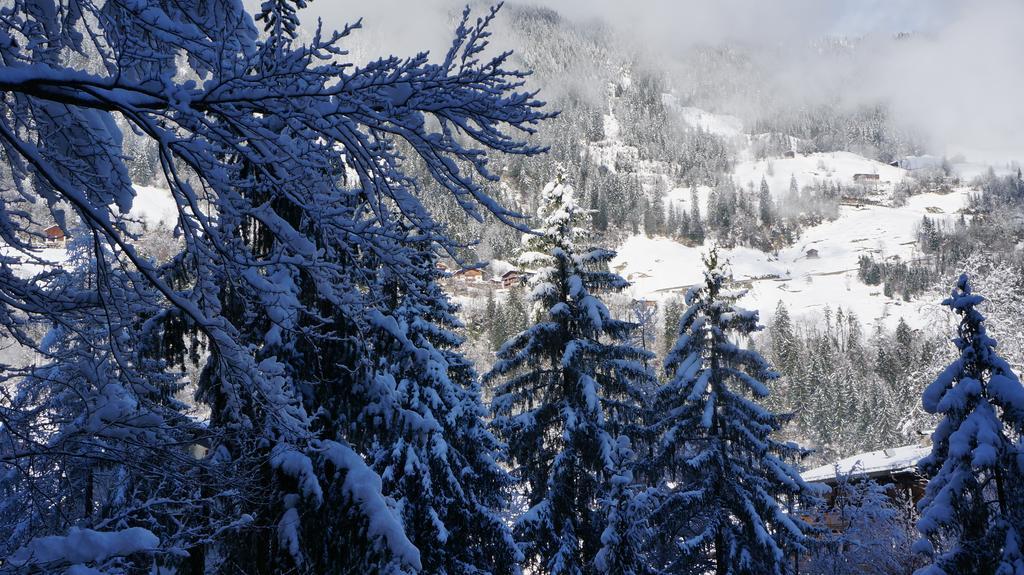 Appartements Alpenblick Finkenberg Exteriér fotografie
